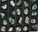 Mineral Flat: Fluorescent Rogerley Fluorite - Pieces #96996-2